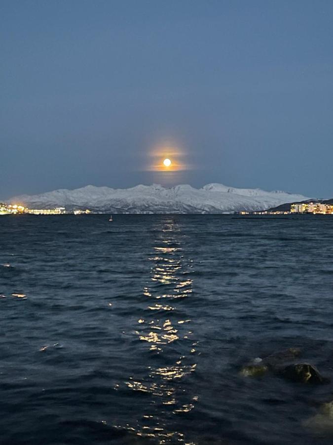 Appartment Close To The City, Ocean And Mountains -Tromsø Zewnętrze zdjęcie